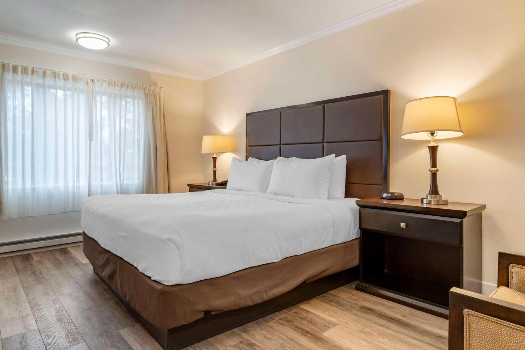 Best Western Carmel'S Town House Lodge מראה חיצוני תמונה